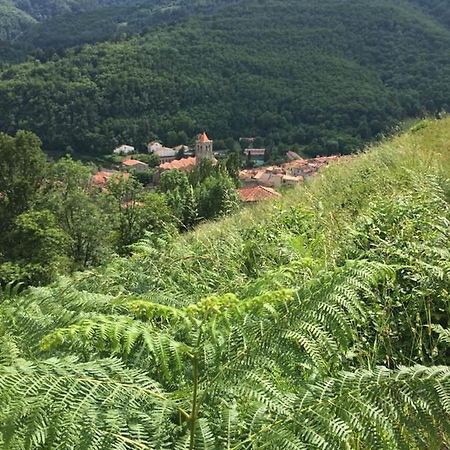 T2 Petite Terrasse Coeur De Ville Prats-de-Mollo-la-Preste Eksteriør bilde
